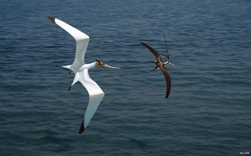 Um Pteranodon (Geosternbergia ) sternbergi tenta roubar a refeição de um Nyctosaurus gracilis sobre as águas do hoje extinto Mar Interior Ocidental.