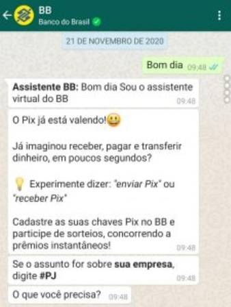 A tela inicial com o menu de opções.