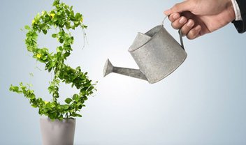 83% das startups brasileiras apoiam desenvolvimento sustentável