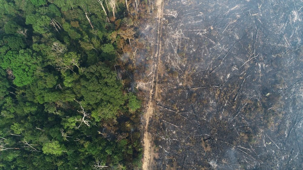 Segundo dados do Instituto Nacional de Pesquisas Especiais (Inpe), o desmatamento na Amazônia atingiu o maior nível em 12 anos.