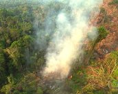 Metas ambientais de Ricardo Salles aumentariam emissões do Brasil