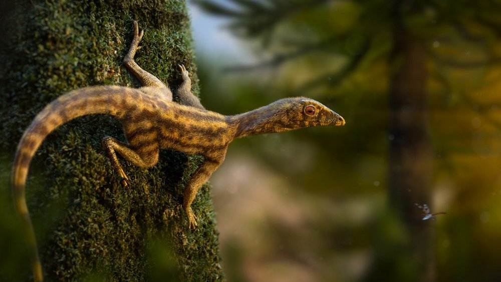 Lagerpetídeos, pequenos lagartos terrestres deram origem aos pterossauros.