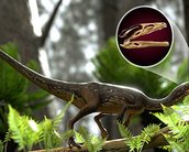 Reconstrução digital de cérebro de dinossauro surpreende cientistas