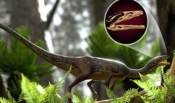 Reconstrução digital de cérebro de dinossauro surpreende cientistas