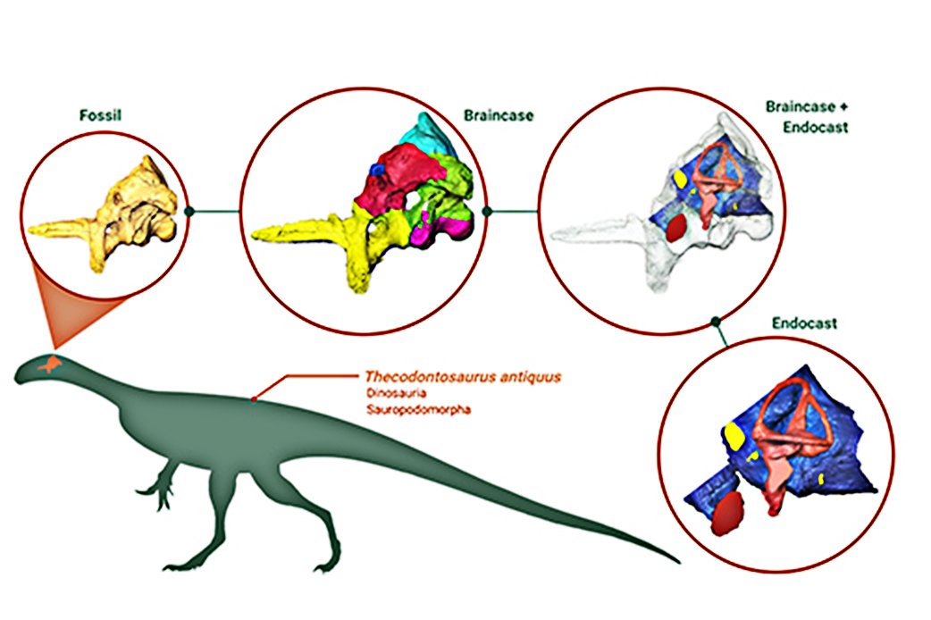 Jogo do dinossauro - Olhar Digital