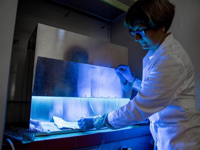 Lâmpadas com LED UV podem ser nova arma contra o coronavírus e outras doenças. (Fonte: UL, iStock / Reprodução)