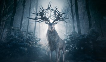 Shadow and Bone: Netflix anuncia nova série com teaser incrível; veja!