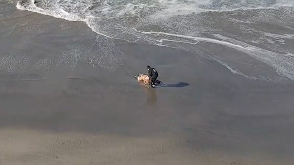 Imagem do drone mostra homem retirando a mulher da água.