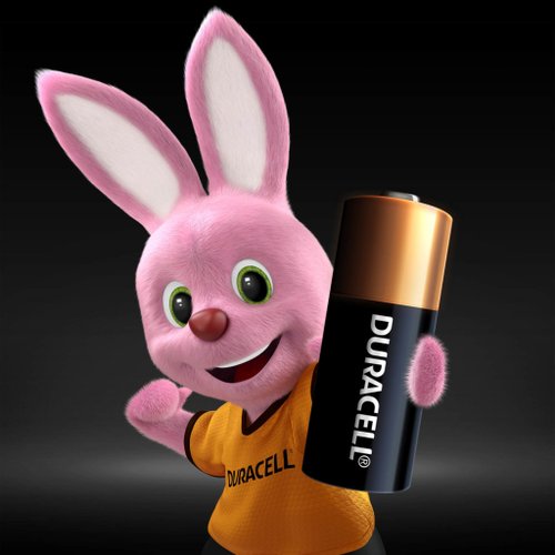 (Fonte: Duracell / Reprodução)