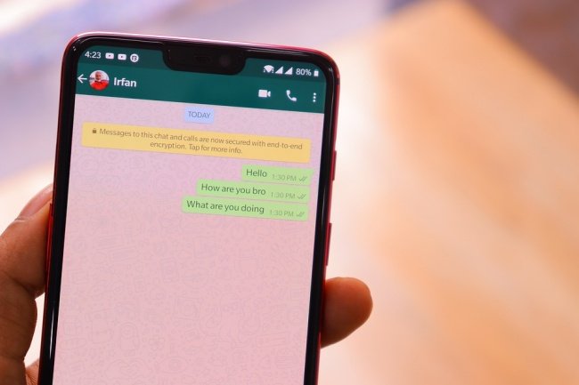 A exclusão da conta apaga todas as suas conversas e grupos.