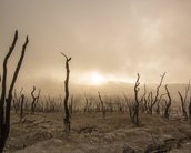 Terra está 'morrendo' rápido demais, indicam pesquisadores