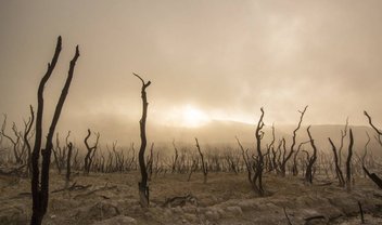 Terra está 'morrendo' rápido demais, indicam pesquisadores