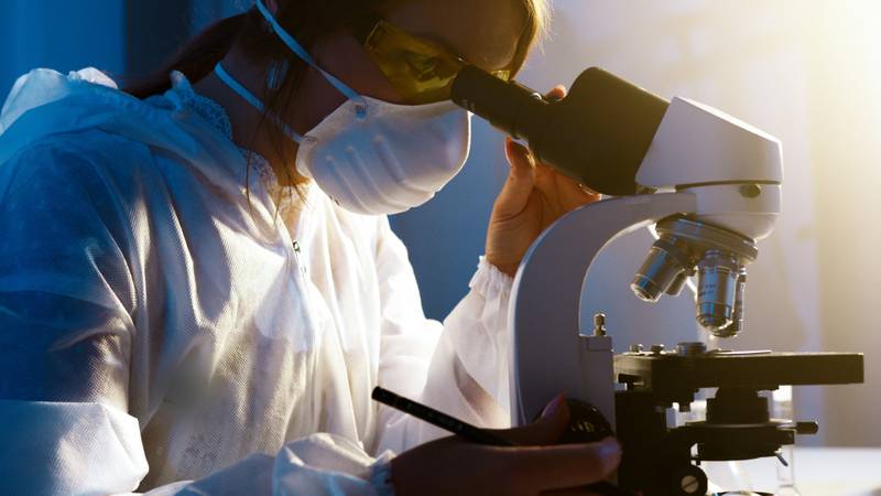 Cientistas se dedicam a montar um quebra-cabeças difícil de se completar.