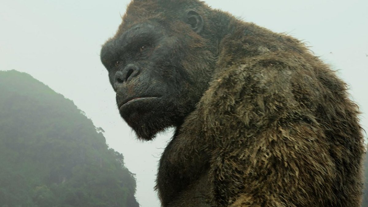 Netflix anuncia animes de Kong: Ilha da Caveira e Tomb Raider