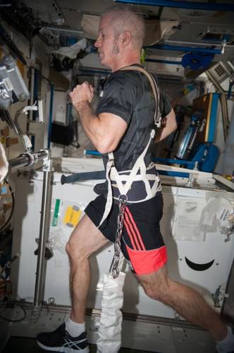 Os astronautas têm uma 