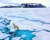 Aquecimento global acentuado não é obra da natureza, afirma estudo