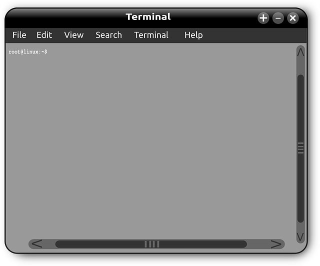 Terminal do Linux é uma ferramenta fundamental em todas as distribuições.