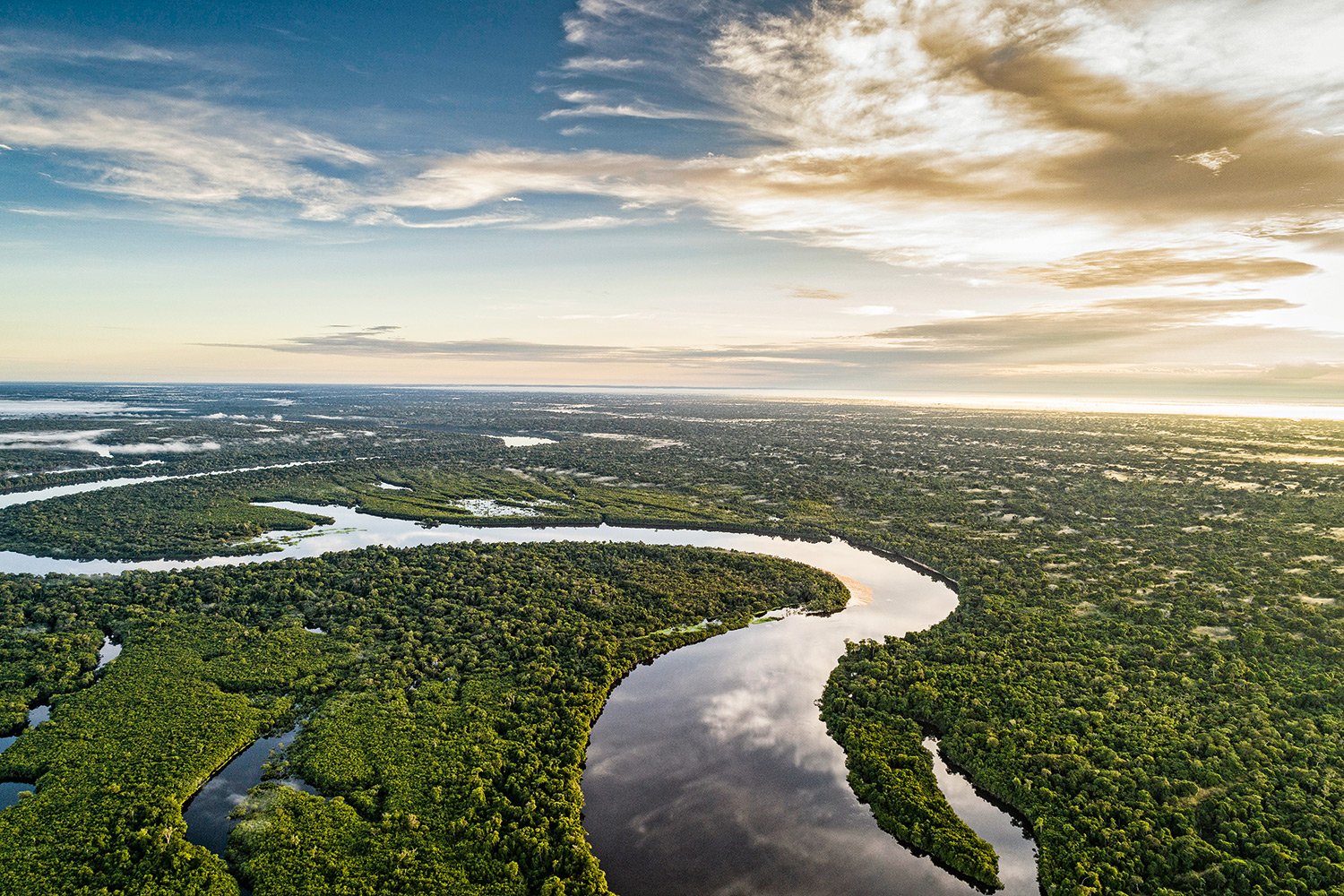 Para 97% dos entrevistados a preservação da Amazônia é essencial para a identidade nacional.