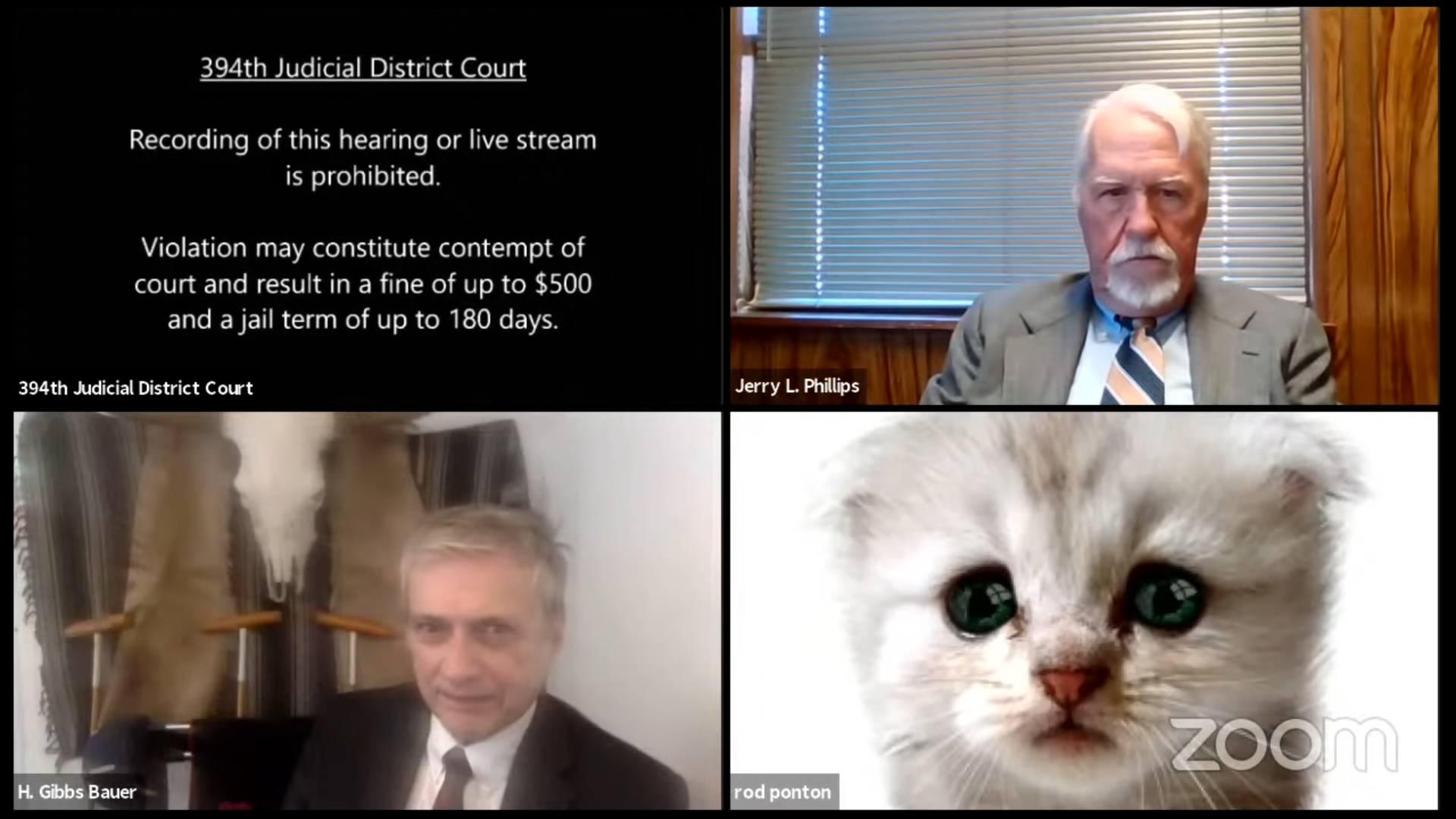 Advogado usa filtro de gatinho
