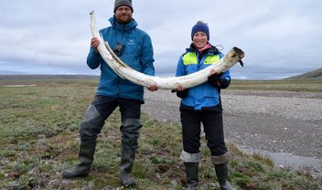 Pesquisadores sequenciam DNA de mamute de 1,2 milhão de anos