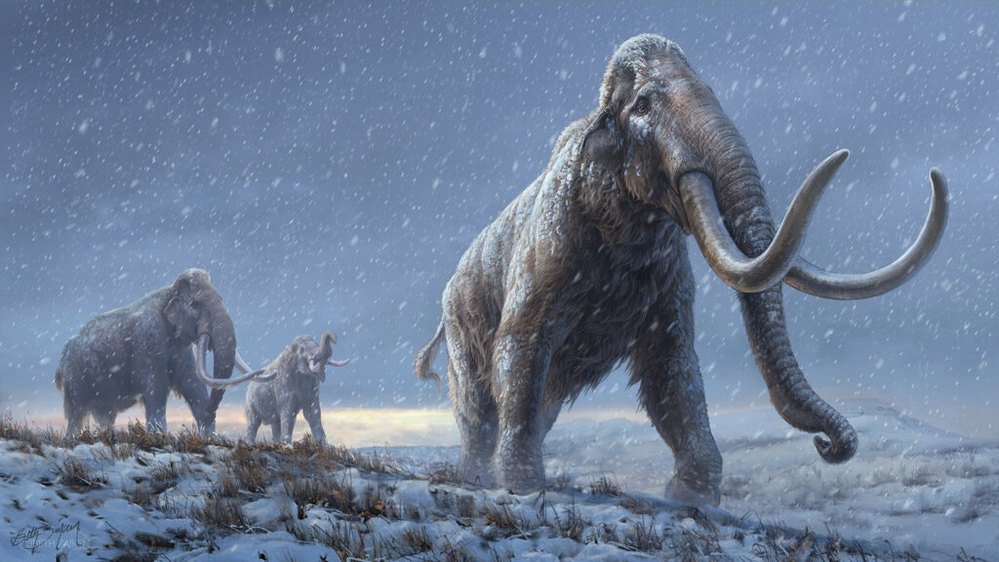 O mamute Krestovka.