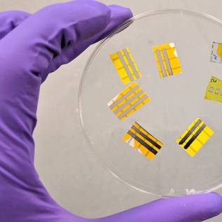 Imagem de Cientistas criam tatuagem iluminada de OLED removível com água e sabão