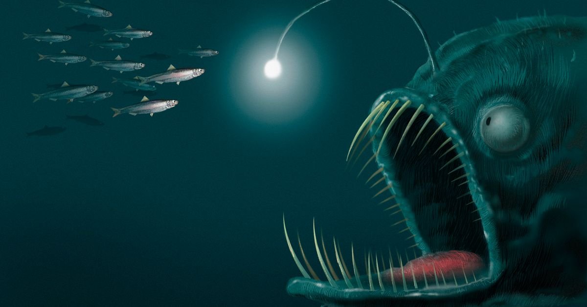 Bioluminescência é usada como isca por outros peixes.