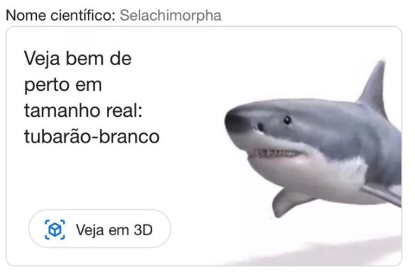 A pesquisa por animais tem a visualização em 3D.