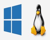 Ex-programador da Microsoft diz que Linux é mais seguro que Windows