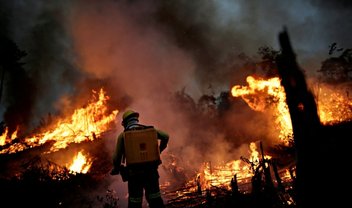 Incêndios ameaçam capacidade de florestas de armazenarem CO2