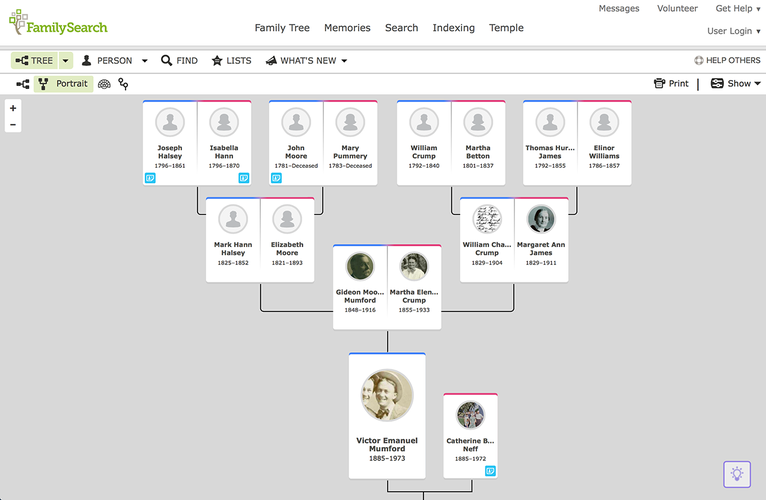 Interface do FamilySearch. (Fonte: FamilySearch / Reprodução)