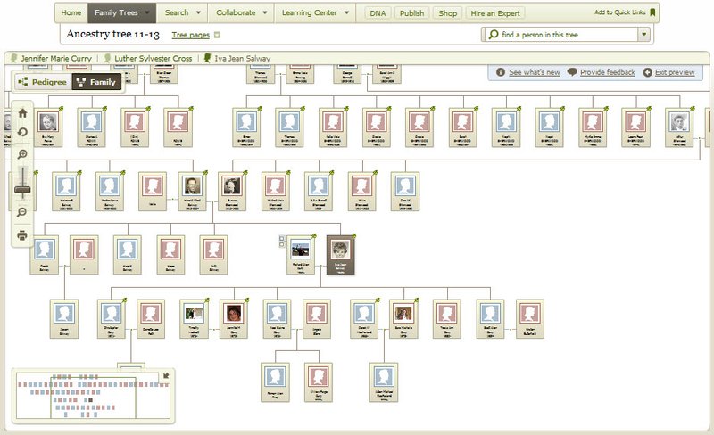 Interface do serviço Ancestry. (Fonte: Ancestry / Reprodução)