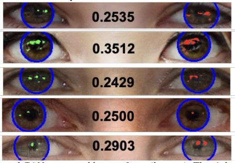 Olhos gerados por algoritmo: sem padrão na reflexão.