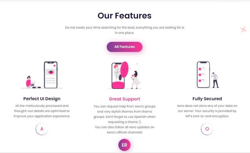 O WhatsApp Aero, em seu site oficial, informa que os usuários tem acesso a uma interface melhorada, a suporte para eventuais dúvidas e problemas, além de segurança.