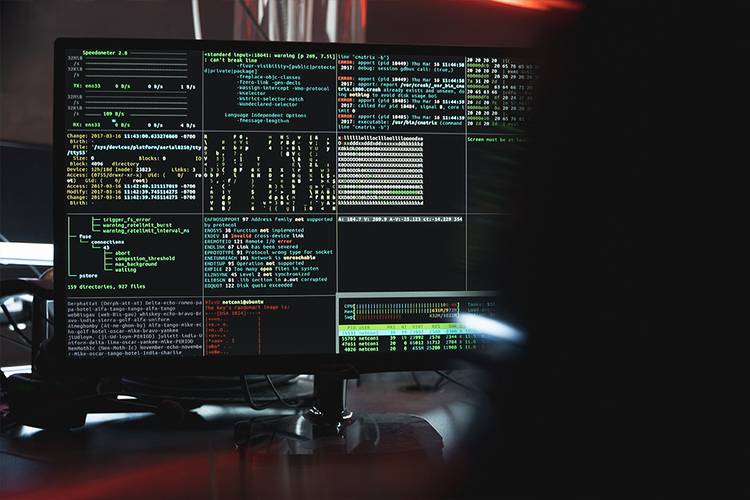 O vazamento ou sequestro de dados se tornaram grandes problemas no mundo digital moderno. (Fonte: Pexels)