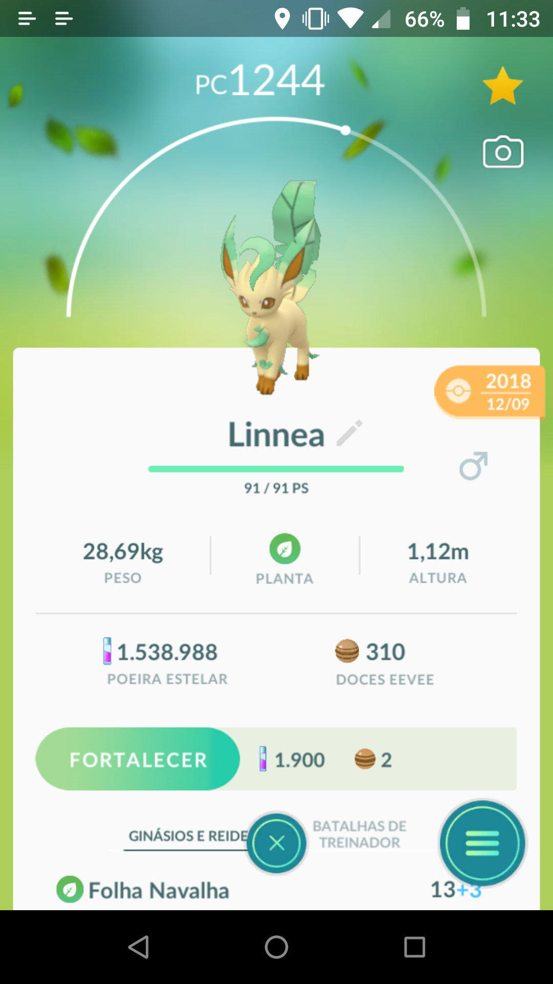 Pokémon Go: Novas evoluções da Eevee terão flores na cabeça! - Leak