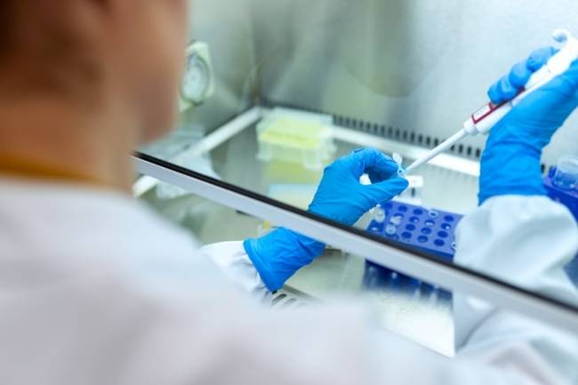 Os testes seguem em ritmo acelerado nos laboratórios.