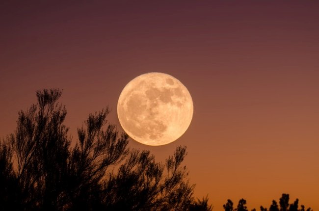 A Lua Rosa promete belas fotos.