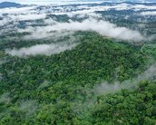 Meteoro que extinguiu dinossauros deu origem à floresta amazônica