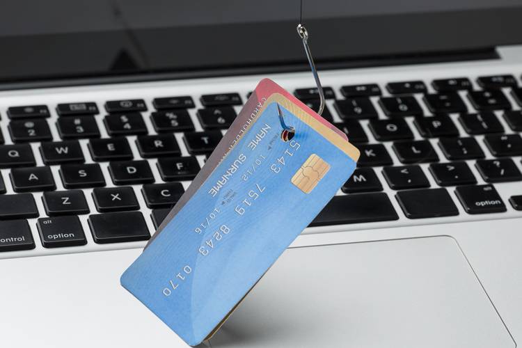 Fonte: Freepik/Divulgação