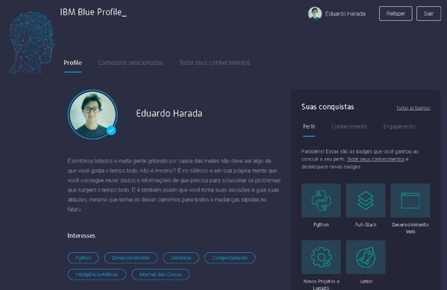 perfil desenvovedor 