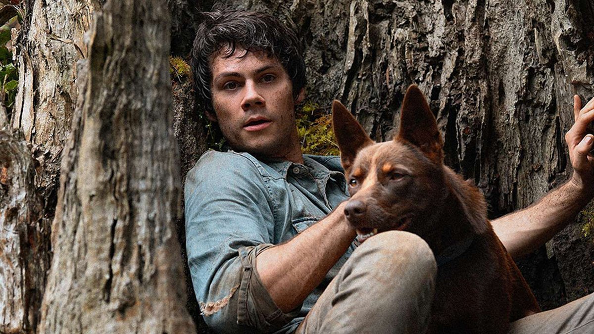 Dylan O'Brien compartilha o que gosta de assistir na Netflix