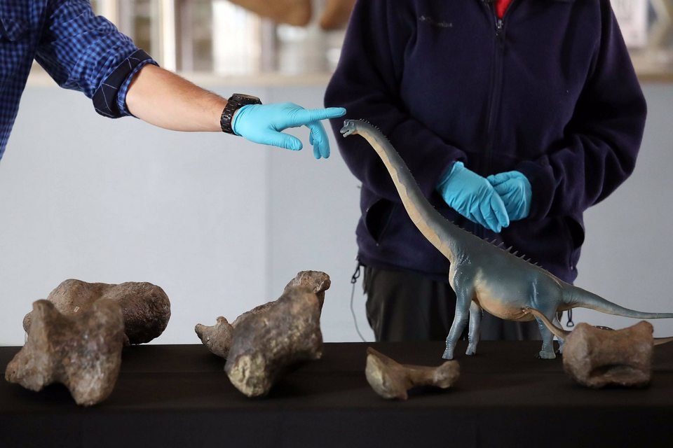 Nova espécie gigante de dinossauro é descoberta no Deserto do Atacama -  Revista Galileu