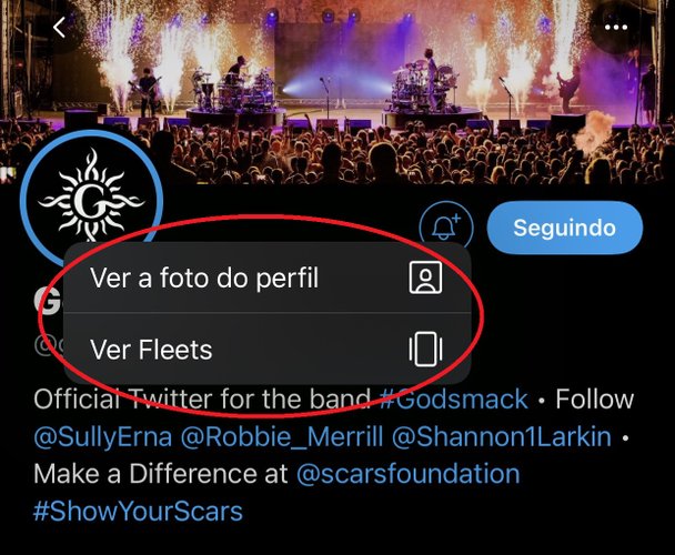Também é possível visualizar os Fleets clicando na imagem de perfil da conta