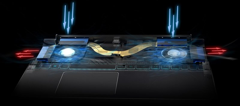 Acer