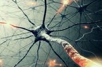 Imagem de Dispositivo simula sinapses humanas e aprende via associação