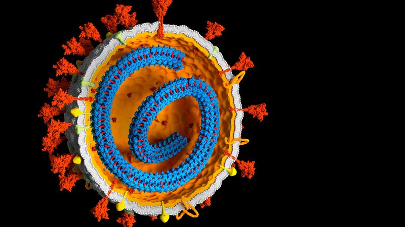 Estudo sugere que RNA do SARS-CoV-2 (em azul) pode se converter em DNA nos infectados.