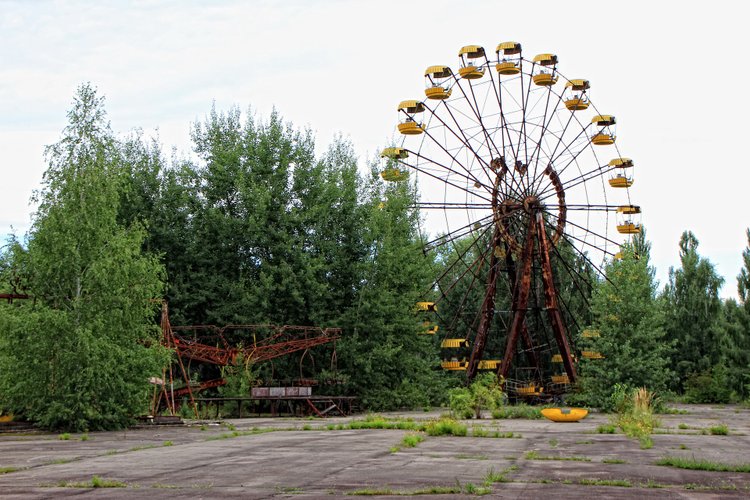 Inabitável para o ser humano, mas um parque de diversões para a vida selvagem.