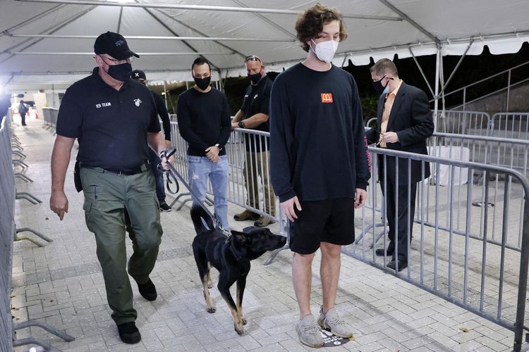 Cães poderão ser usados em aeroportos ou grandes eventos.