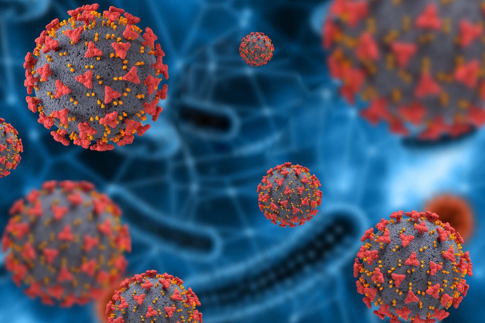 Nova cepa de coronavírus do país asiático preocupa por ser potencialmente mais infecciosa. 